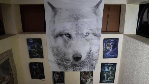 Photo from A Train 4: Urban Anal Assault