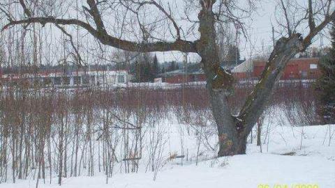 Gallery - Chelmsford-Red-House41.jpg