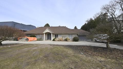 Beige and The Beautiful photo 5