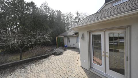 Beige and The Beautiful photo 2