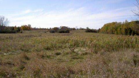 Hollow's Howell - Howells-Hollow-(ghost-town)9.jpg