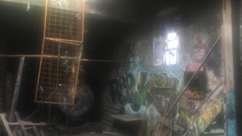 Few Pics I Took - CE37CDB1-FC06-4CCE-9797-24B7E29D2B70.jpeg