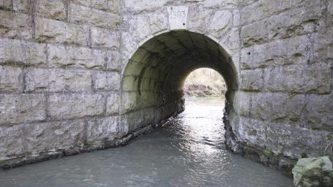 Spring Has Sprung - May 2018 - DSC_0163.jpg