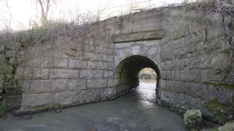 Spring Has Sprung - May 2018 - DSC_0164.jpg