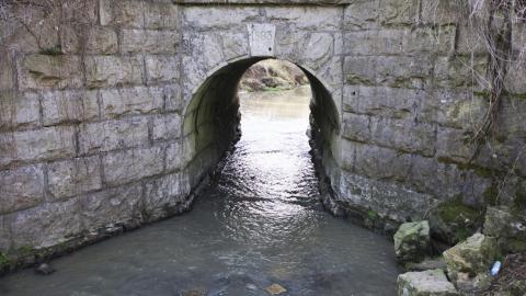 Spring Has Sprung - May 2018 - DSC_0166.jpg