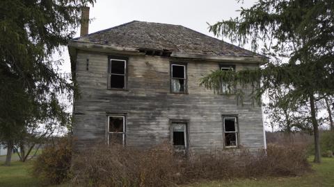 Caught Upon Entry - November 2016 - DSC_0391.jpg