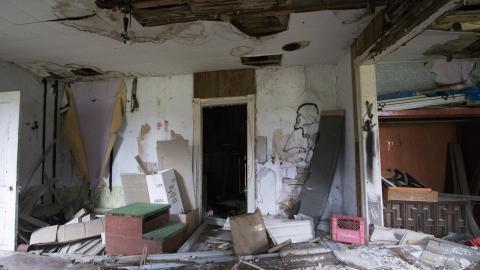 Caught Upon Entry - November 2016 - DSC_0393.jpg