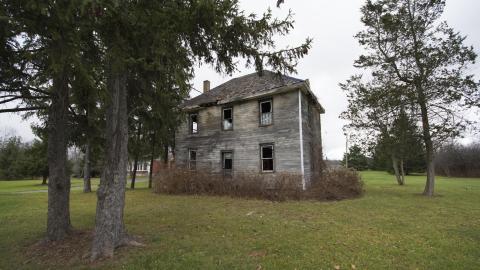 Caught Upon Entry - November 2016 - DSC_0394.jpg