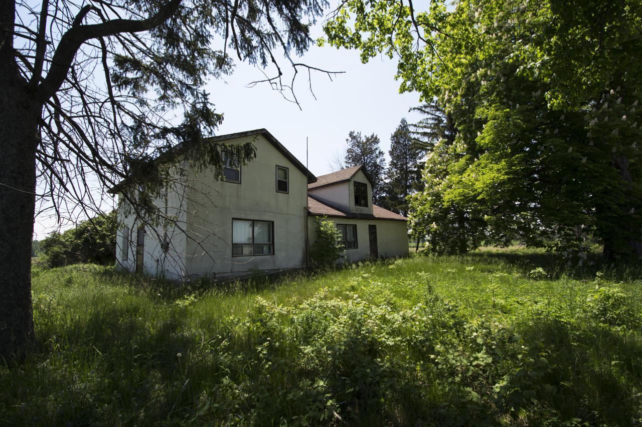 Let The Bodies Hit The Floor - May 2016 - 1.jpg