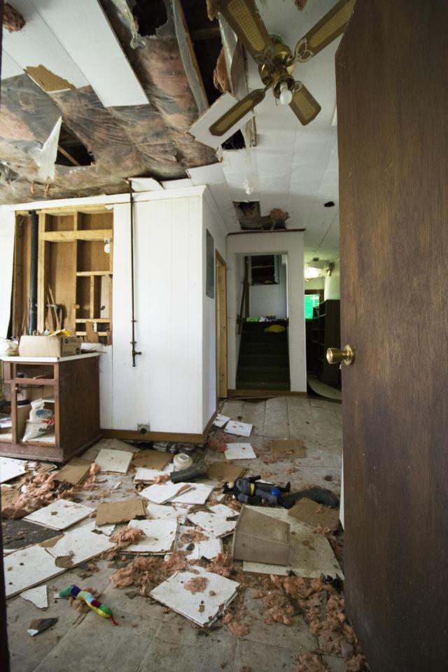 Let The Bodies Hit The Floor - May 2016 - 2.jpg