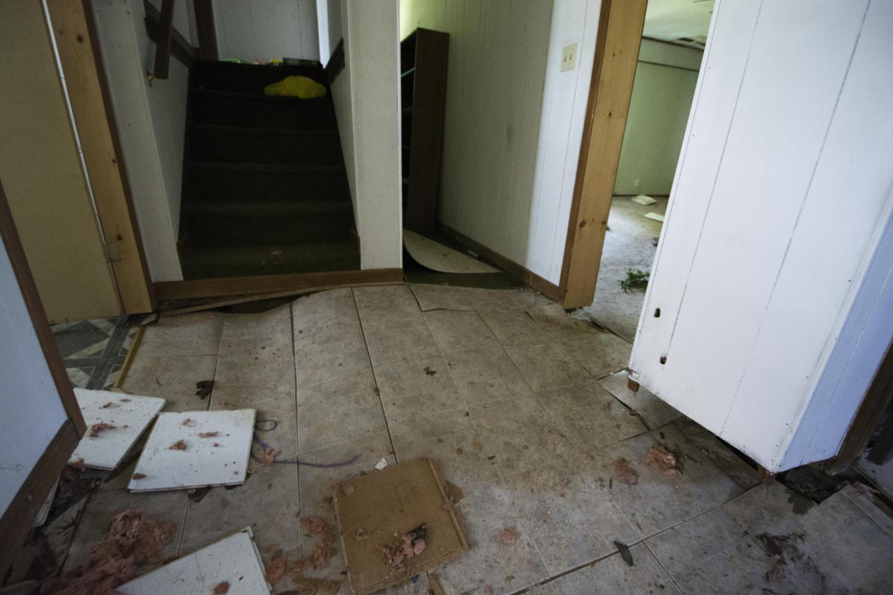 Let The Bodies Hit The Floor - May 2016 - 3.jpg