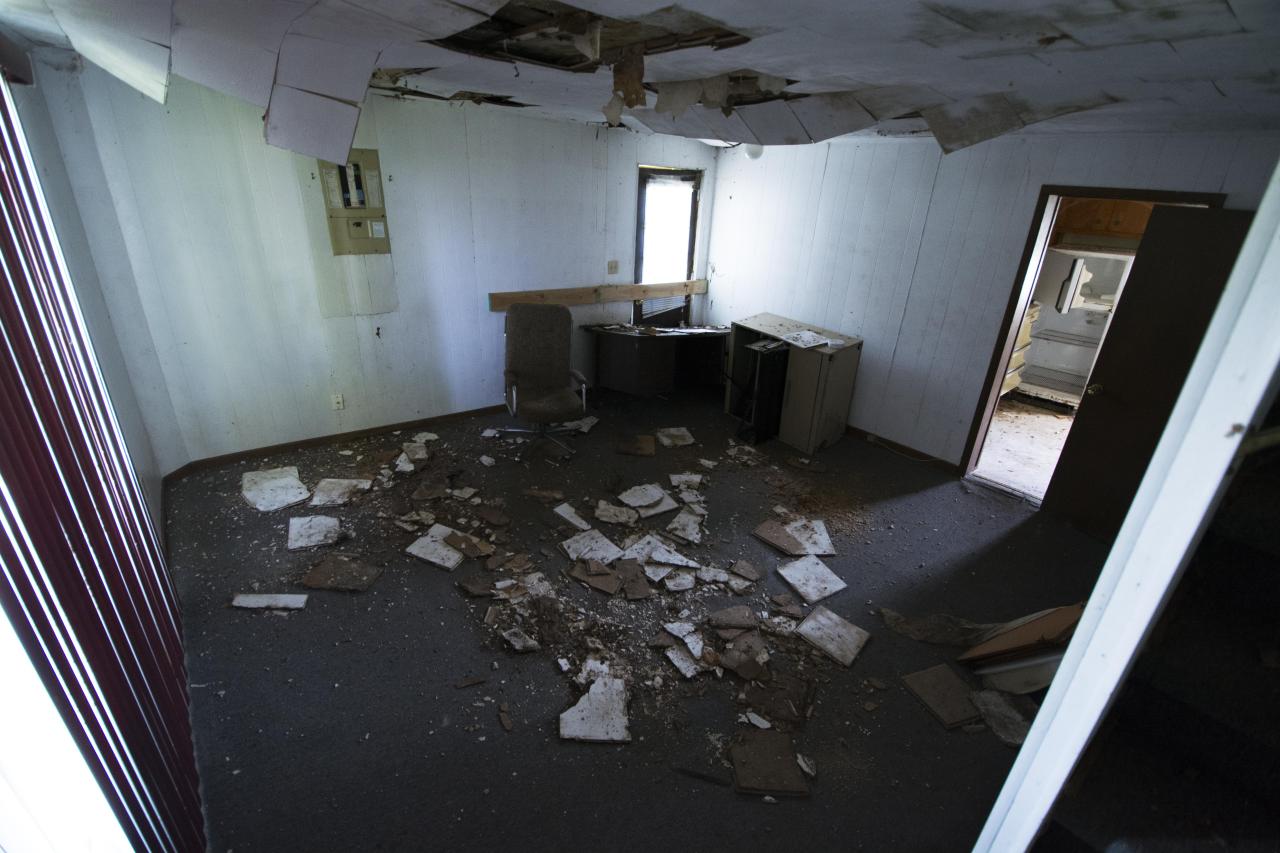 Let The Bodies Hit The Floor - May 2016 - 6.jpg