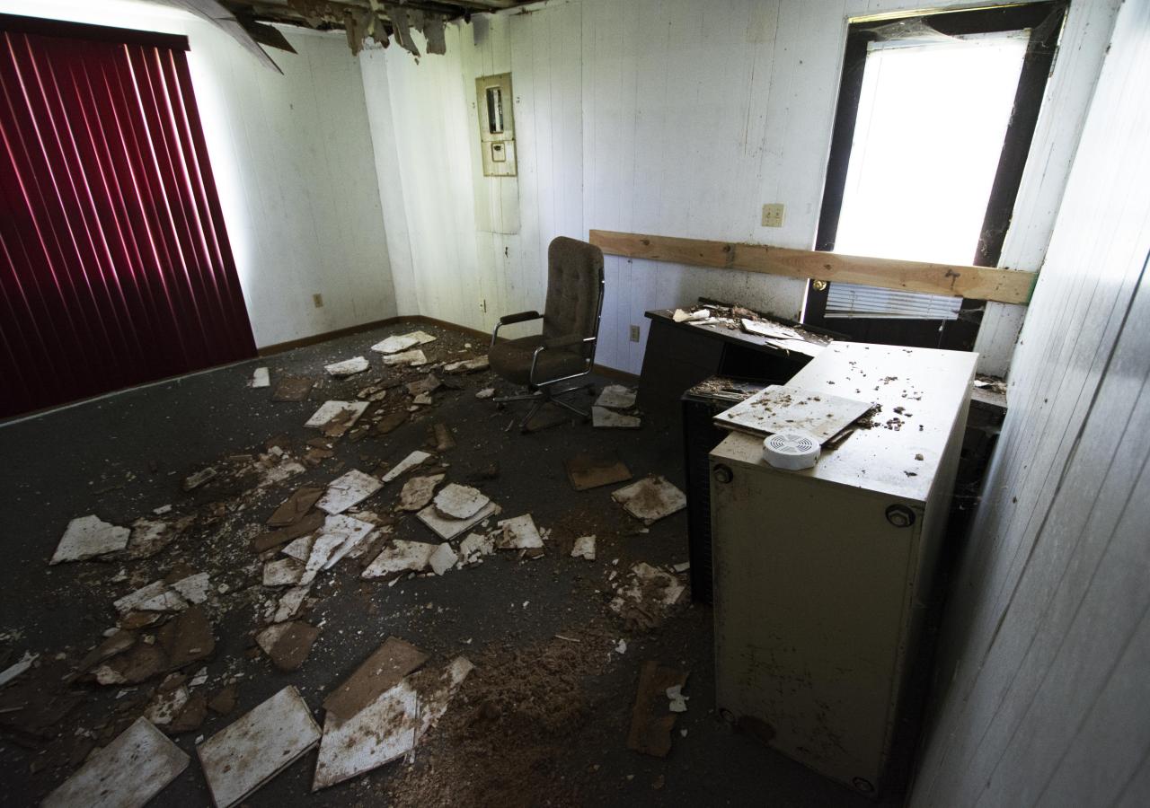 Let The Bodies Hit The Floor - May 2016 - 7.jpg