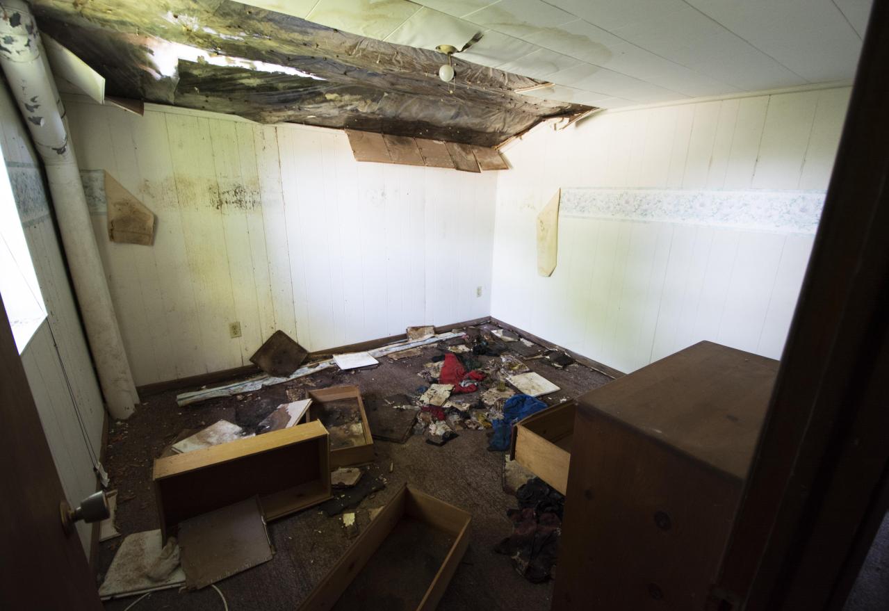 Let The Bodies Hit The Floor - May 2016 - 8.jpg