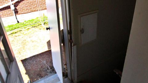 The Cost Of Wood VOL II - IMG_4717.JPG