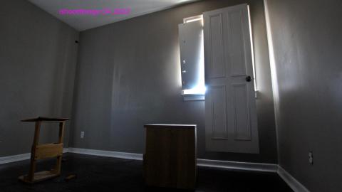 The Cost Of Wood VOL II - IMG_4726.JPG