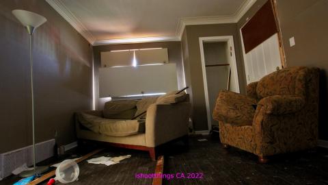 The Cost Of Wood VOL II - IMG_4729.JPG