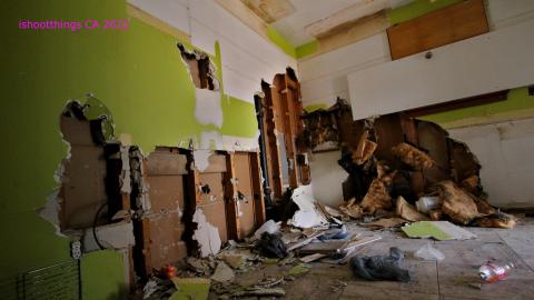 The Cost Of Wood VOL II - IMG_4730.JPG