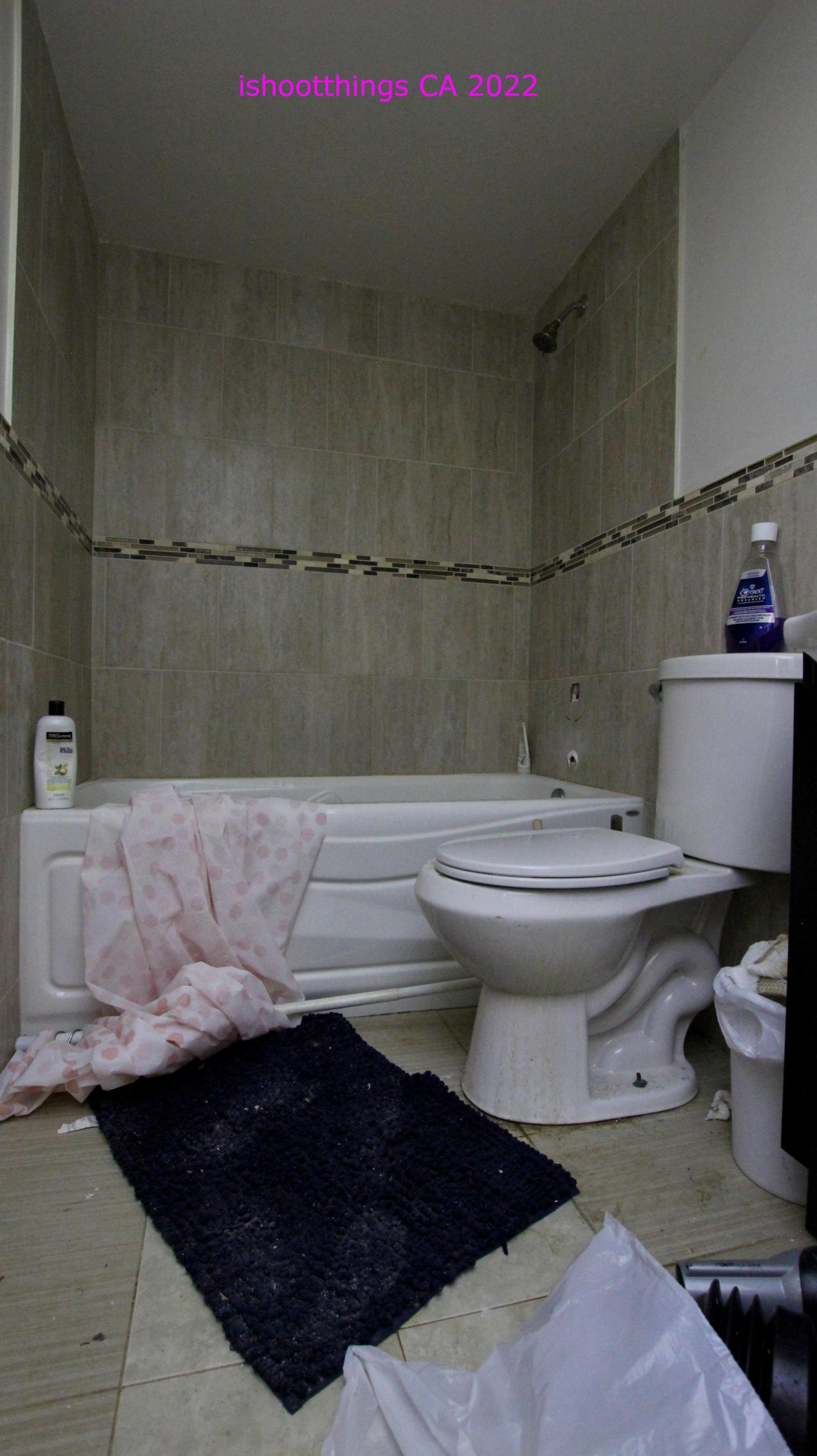 The Cost Of Wood VOL II - IMG_4738.JPG