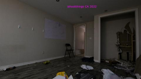 The Cost Of Wood VOL II - IMG_4741.JPG