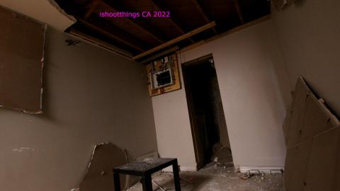 The Cost Of Wood VOL II - IMG_4752.JPG