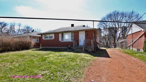 The Cost Of Wood VOL II - IMG_4755.JPG