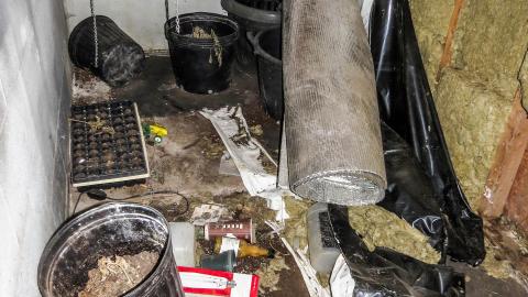 Fall & Winter 2021 - IMG_6521-2.jpg