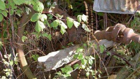 Hollow's Howell - Howells-Hollow-(ghost-town)15.jpg