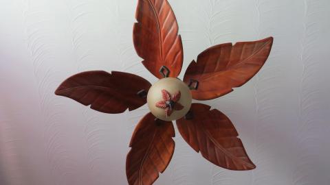 Fall & Winter 2021 - IMG_6542.JPG