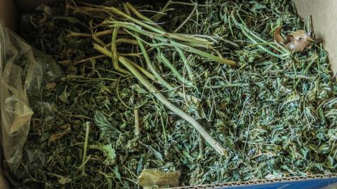 Fall & Winter 2021 - IMG_6588-2.jpg