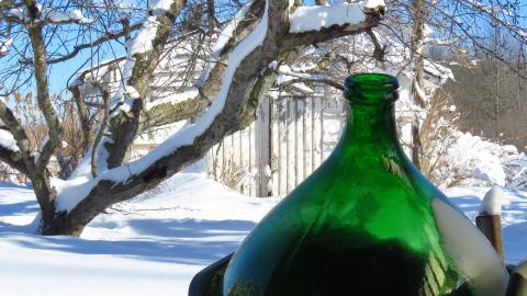 Fall & Winter 2021 - IMG_0726X.jpg