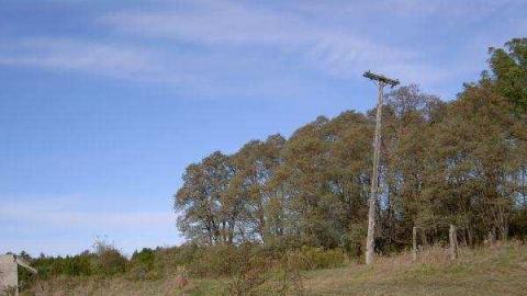 Hollow's Howell - Howells-Hollow-(ghost-town)17.jpg