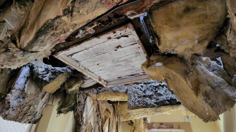 Somehow years after the decay around it, the attic access is still in place