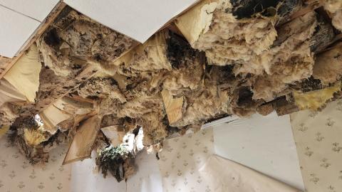 Sunday April 17th 2022 Adventure - 20220417_144411.jpg