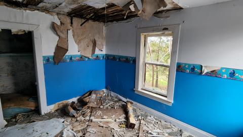 Well the search for Nemo has finnaly come to an end