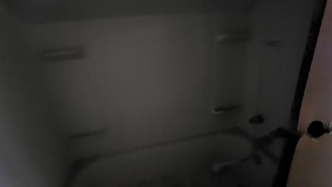 A horrible pic of the tub because everyone refused to step into the bathroom