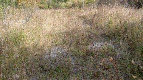 Hollow's Howell - Howells-Hollow-(ghost-town)19.jpg