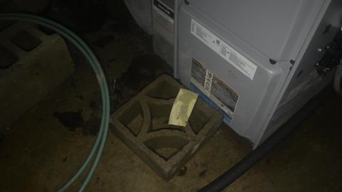 Day 2 - _DSC1251.JPG