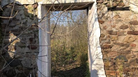 Abandoned foundation - 9AB2F39C-6DCE-4C0A-AA4B-1B03D95BB668.jpeg