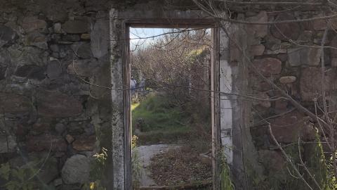 Abandoned foundation - 39CAF484-78B6-44AE-B918-F4A86EE4AF9C.jpeg