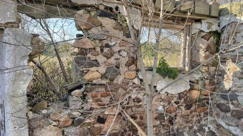 Abandoned foundation - 77FDCC24-5018-4346-A729-DB4615521B94.jpeg