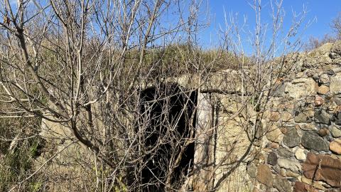 Photo from Abandoned foundation