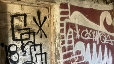 Abandoned foundation - 7B6C4C6B-5386-4993-A839-BBAAB4E0CA1B.jpeg