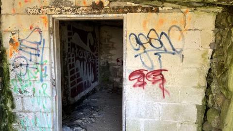 Abandoned foundation - 172C5492-EE57-46FD-A07E-932FE48DB428.jpeg