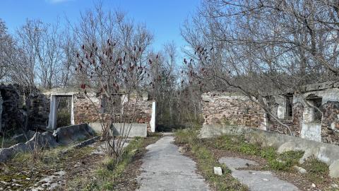 Photo from Abandoned foundation