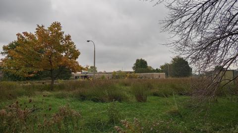 Photo from Erasing old memories..