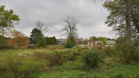 Photo from Erasing old memories..