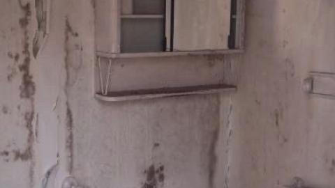 Port Hope Lawn Bowling Club. photo 5