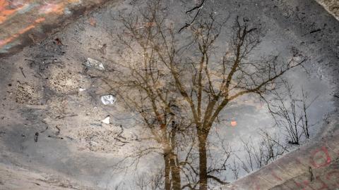 April 2022 - abandoned skate park in the woods-31.jpg