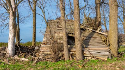 Nature Always Wins - abandoned house reclaimed by nature-20.jpg